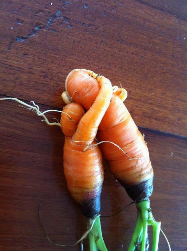 Любовь-морковь в чистом виде.