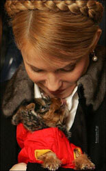 Юлия Тимошенко занялась разведением собак