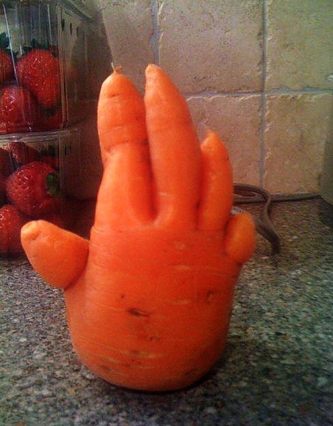 Морковная ладошка.