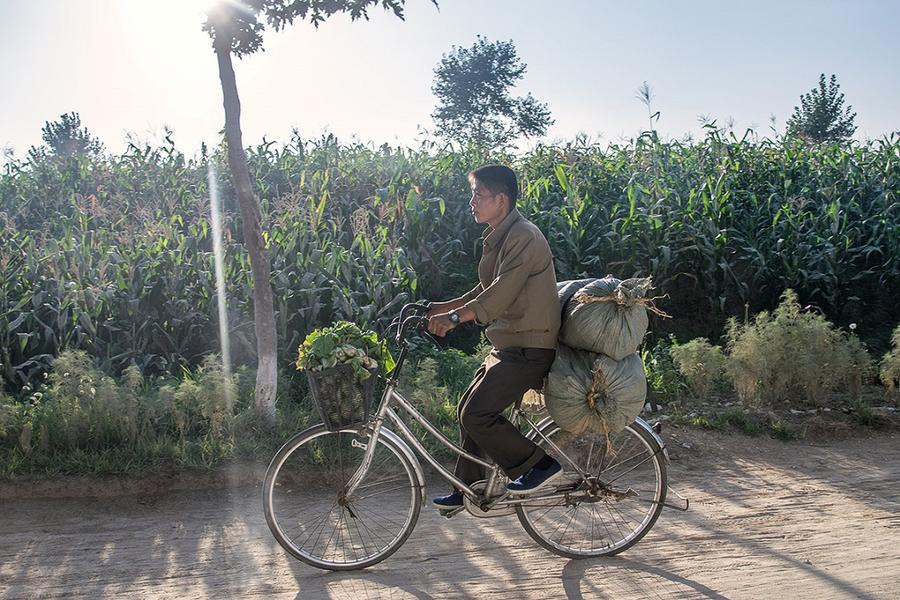 13. Мужчина везет овощи на своем велосипеде в Нампхо, в 50 км к юго-западу от Пхеньяна