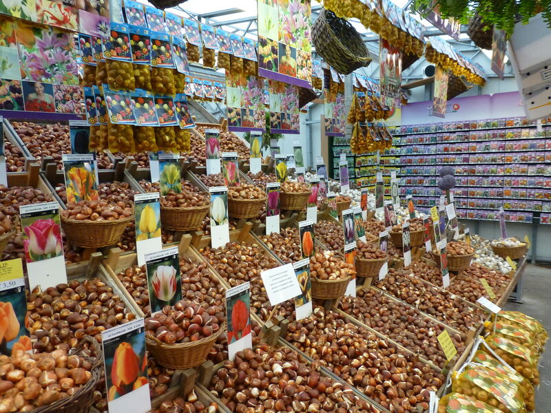 Где Лучше Купить Семена В Москве