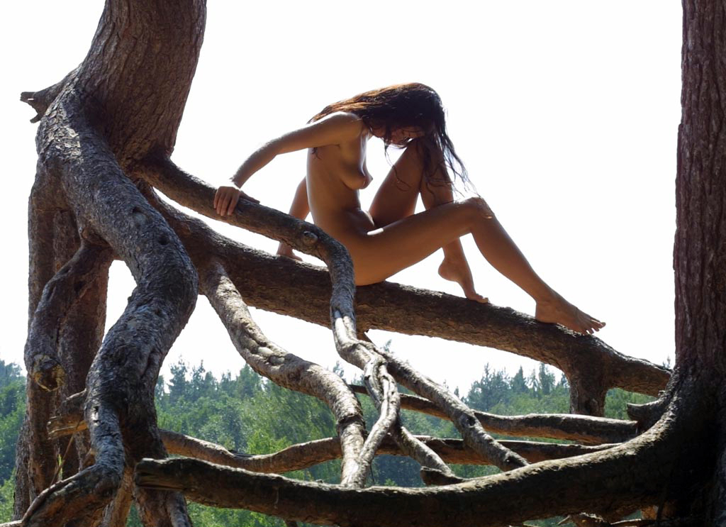Фото голой девахи позирующей на стволе многовекового дерева