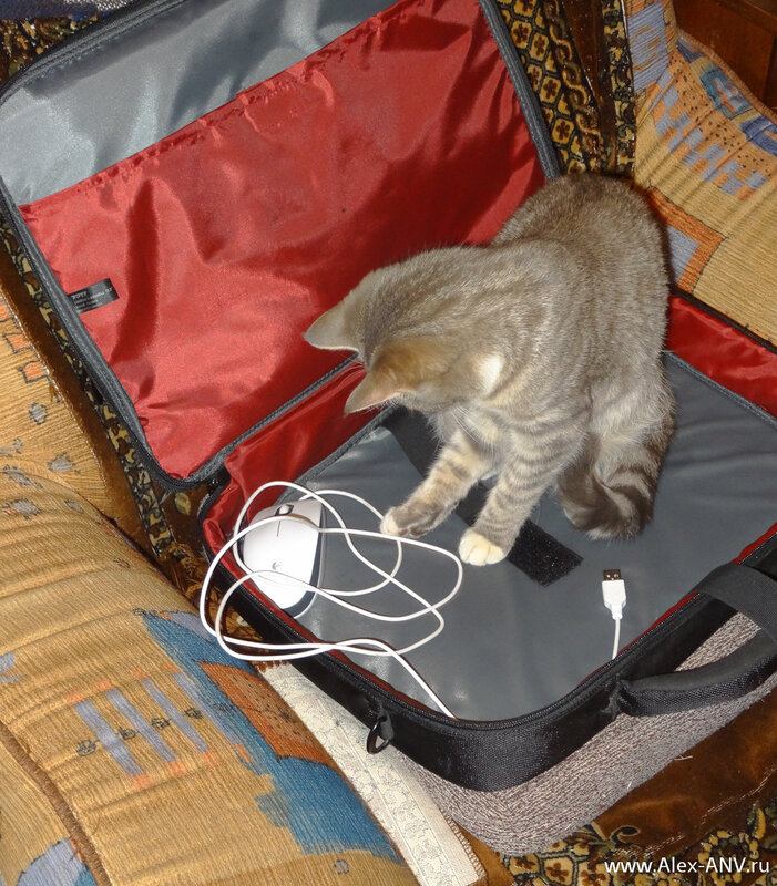 Не просто сумка, а сумка с мышкой!