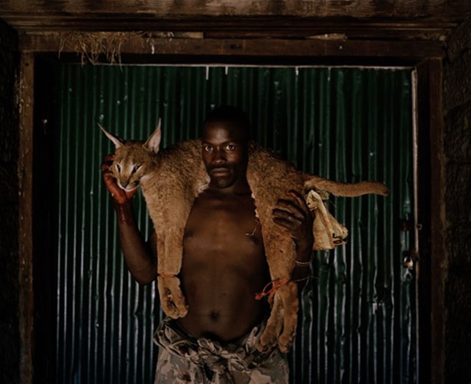 Дэвид Чанселлор. Фотографии охотников и их жертв в Африке 