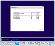 Windows 10 v1607 (18 in 1) 14393.726 [] by Neomagic