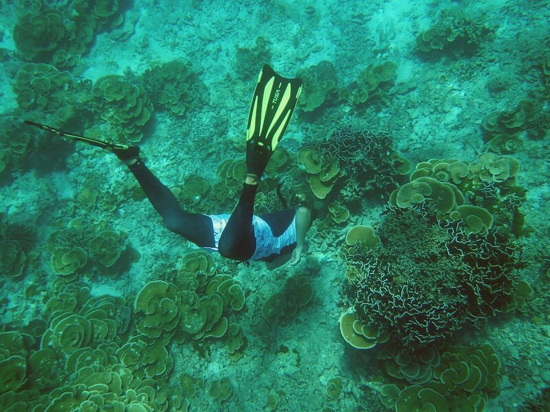 Дайвер в ластах ныряет к кораллам у дна Андаманского моря на побережье островов Симилан