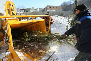 Во Владивостоке более 12 тонн отслуживших новогодних елок отправят в печь