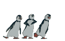 animated-avatar-dancingpenguins