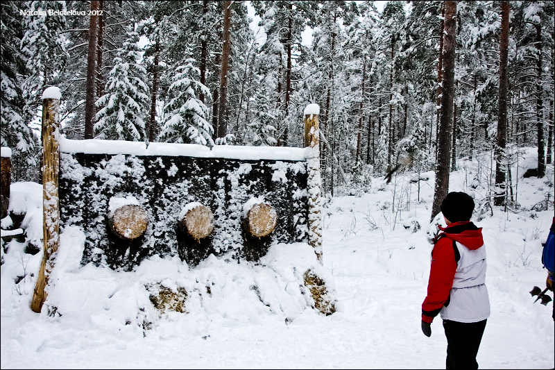 Ярвисюдан и окрестности. Три зимних дня в Финляндии (11-14.01.2012)