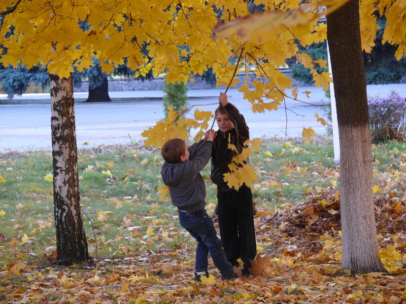 Глеб и Егор тоже радуются осенним листьям.JPG