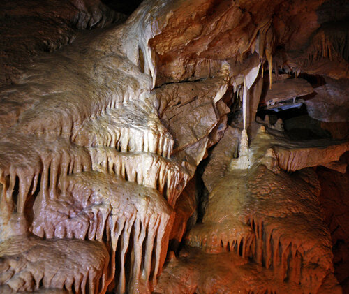 Разнообразие пещерных видов