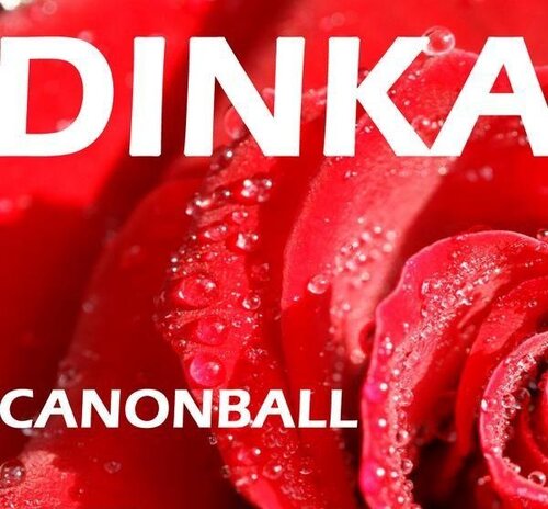 Dinka - Canonball Incl Claes Rosen Remix (7640130853799) WEB 2009