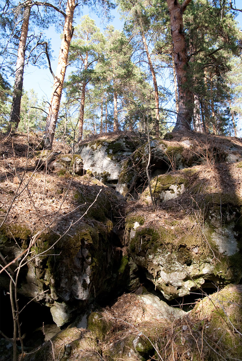 Лабиринт - каменный лес - красивый лес на скалах возле Старой Рачейки