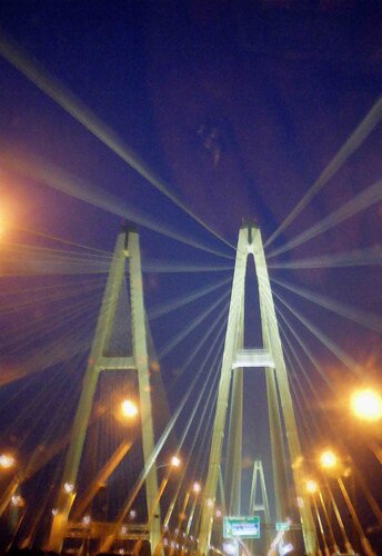 Ночь,туман,скорость, вантовый мост...
