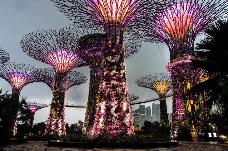 Сингапур. Футуристические Сады в заливе (27 фото)