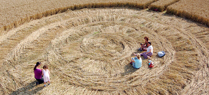 Пшеница крупным планом (круги на полях) 0_3511c_5e9fa14_XL