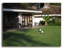 Кения. Fairmont Mount Kenya Safari Club. William Holden Cottages