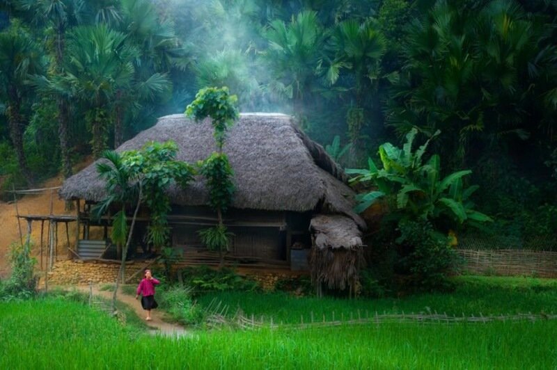 домик во вьетнамских джунглях