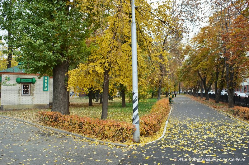 Краски осени, Саратов, Театральная площадь, 17 октября 2014 года