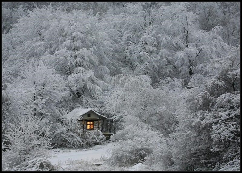 уютный домик в лесу
