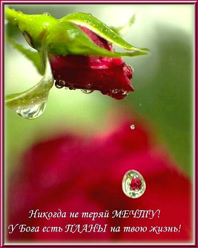 http://img-fotki.yandex.ru/get/4109/sunny-fanny.4b/0_31692_ee00b706_XL.jpg