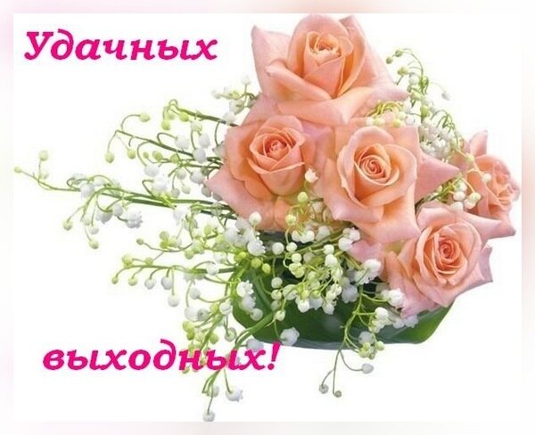 http://img-fotki.yandex.ru/get/4110/gal-zelyonaya.14/0_26f4d_5ca3d694_XL.jpg