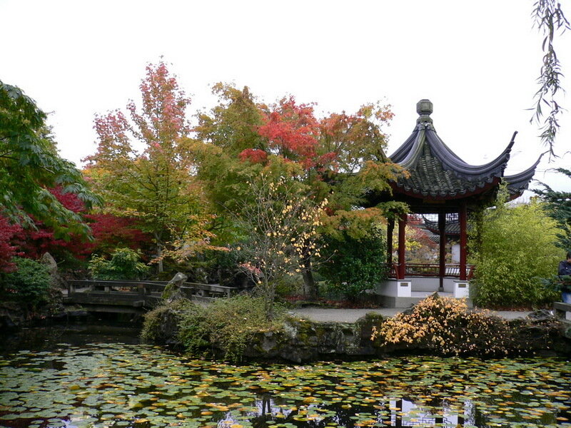 фото японский сад