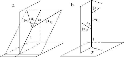 Рисунок 2.2. Геометрия дерева согласно Хонде.