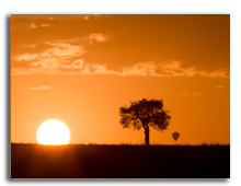 Кения. Масаи Мара. Masai mara sunrise with acacia tree and distant hot air balloon.Фото Atakhar - Depositphotos