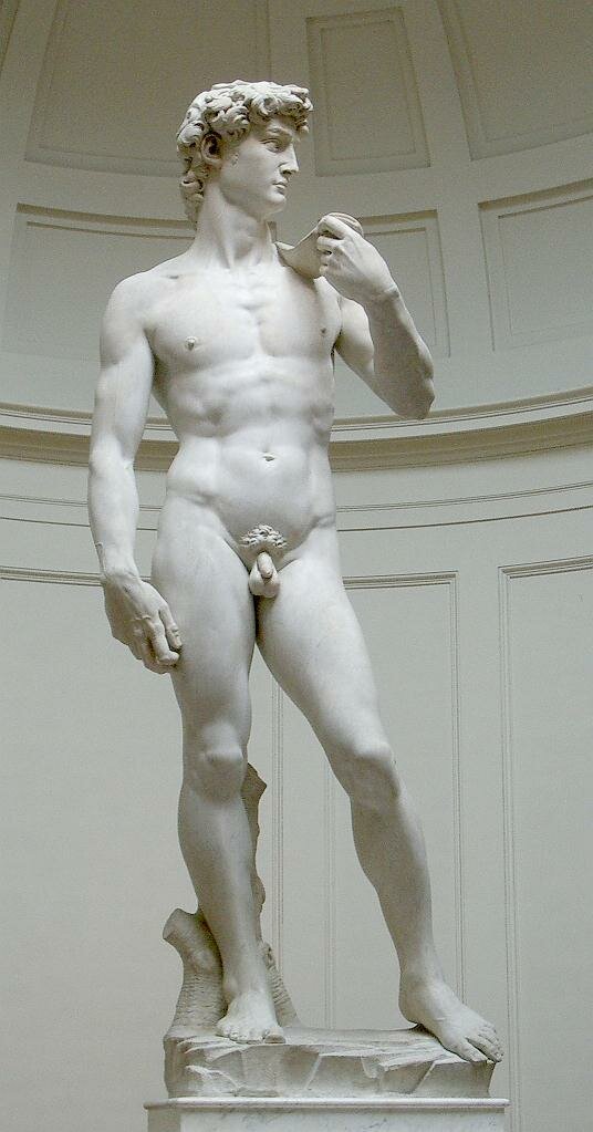 Michelangelo's David (original statue)1501-1504Galleria dell'Accademia, Florence.