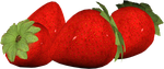 «Strawberry Delight» Зима  0_9be9c_79dd4d62_S