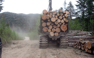Обработка лесных грузов на ДВЖД падает - хотя общий объём грузооборота растёт