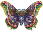 Бабочки  0_6b154_f4733be6_S