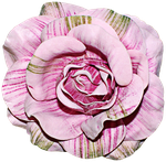 «Объятия из роз» 0_6ee25_34b4bacc_S