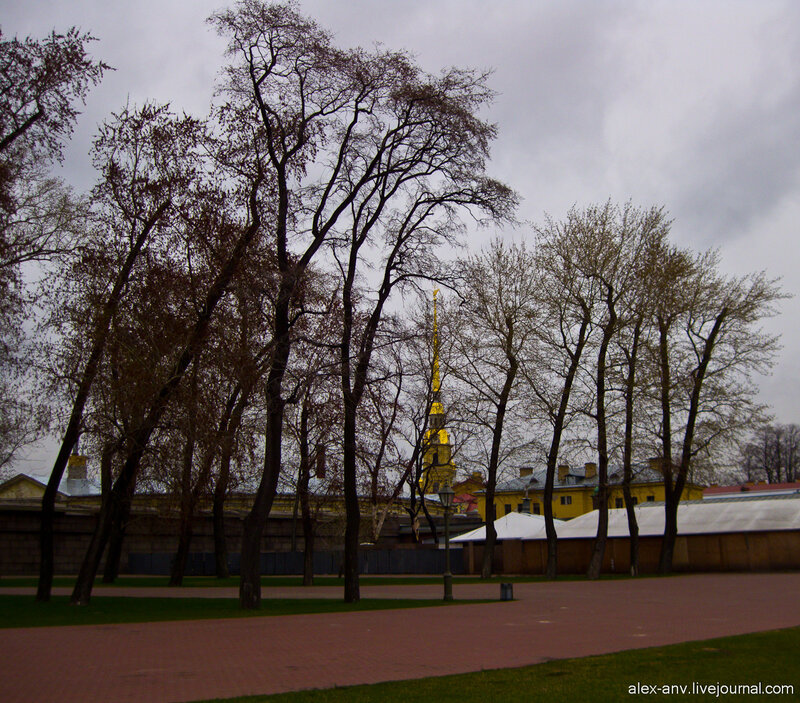 Петропавловская крепость. На западной оконечности Заячьего острова разбит небольшой парк - традиционное место для всяких пафосных вечеринок и концертов.