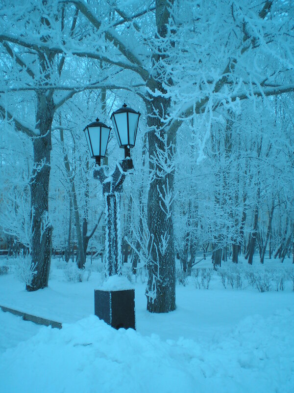 Зимняя сказка на наших фотографиях 0_64088_ed985a05_XL