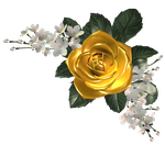 Цветы 3d роза