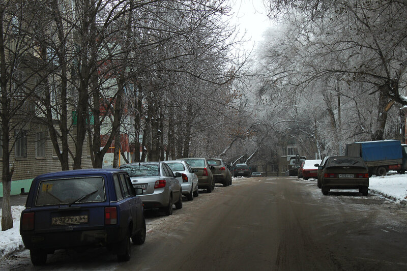 У меня во дворе, Саратов, 14 декабря 2011 года