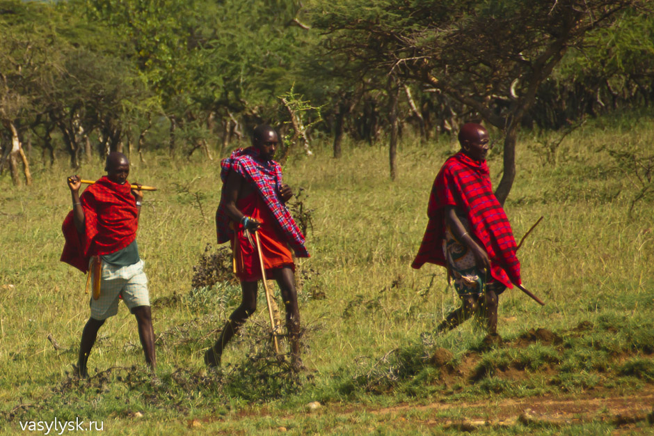 9-дневное сафари по Кении и Танзании
