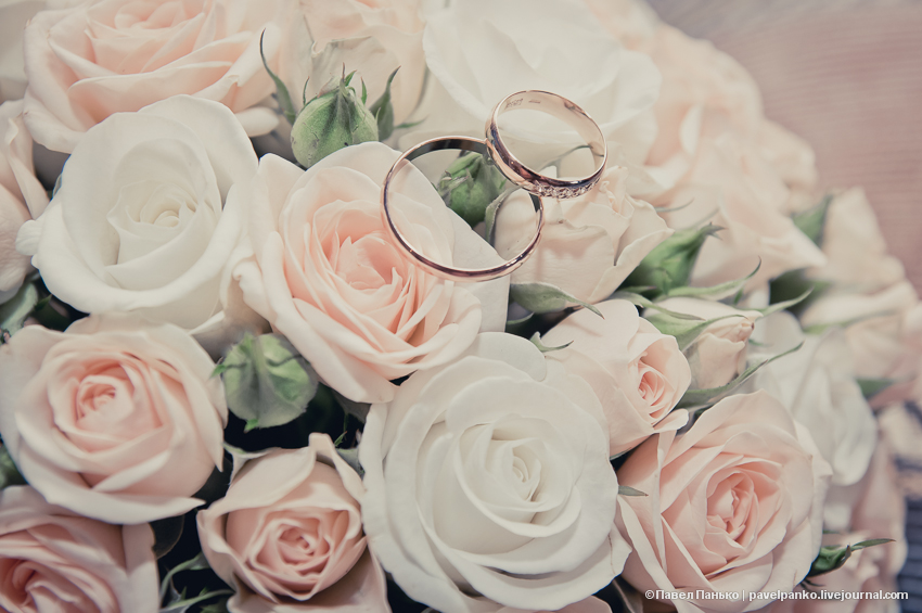 панько pavelpanko свадьба цветы кольца брак