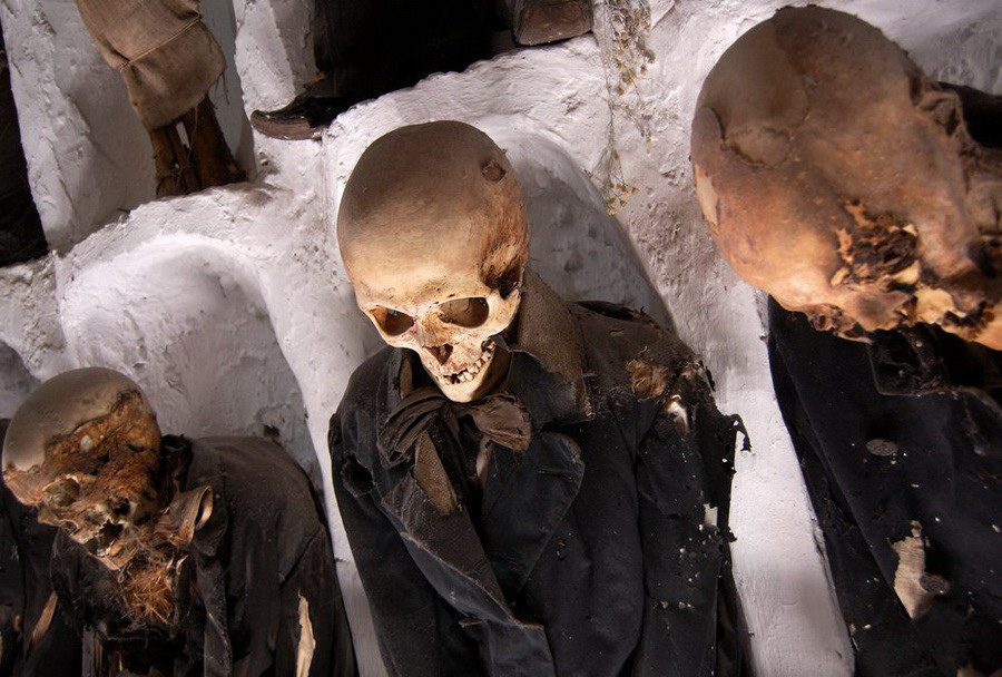 музей мертвецов