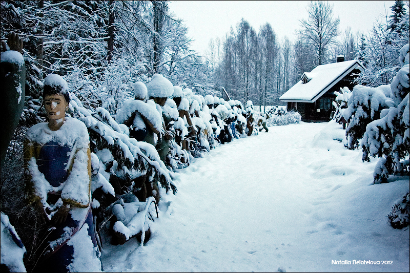 Ярвисюдан и окрестности. Три зимних дня в Финляндии (11-14.01.2012)