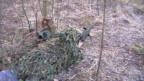 Лесной снайпинг
