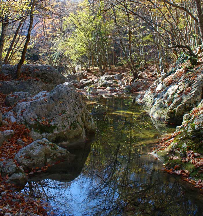 Осень в Большом каньоне 