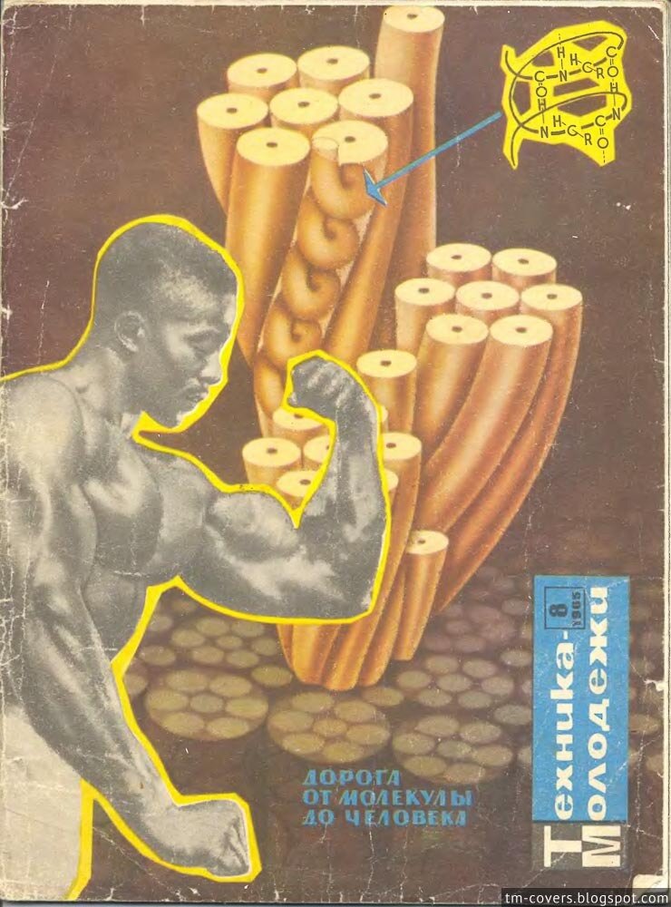 Техника — молодёжи, обложка, 1965 год №8