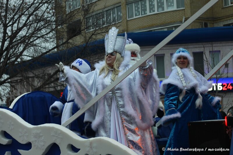 Парад дедов Морозов, Энгельс, 21 декабря 2013 года