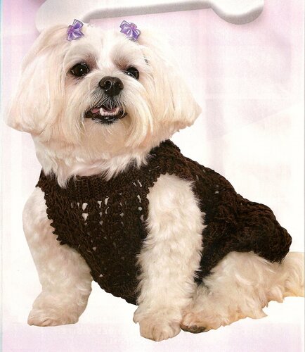 Одежда для животных: коричневое платье для собаки