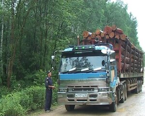 За пять месяцев из Дальнего Востока вывезена за рубеж древесина на полмиллиарда долларов