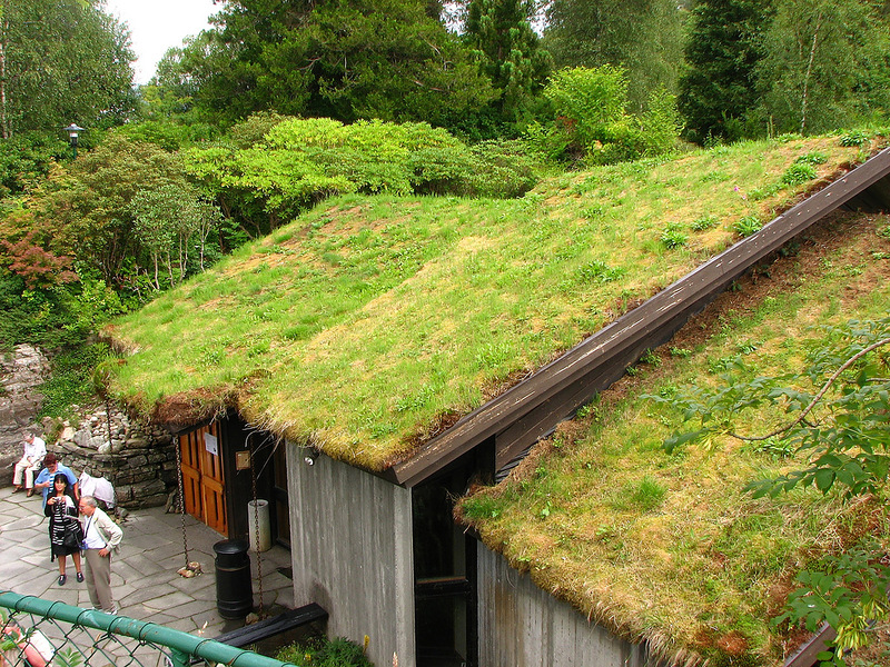 Необычные норвежские крыши из травы 