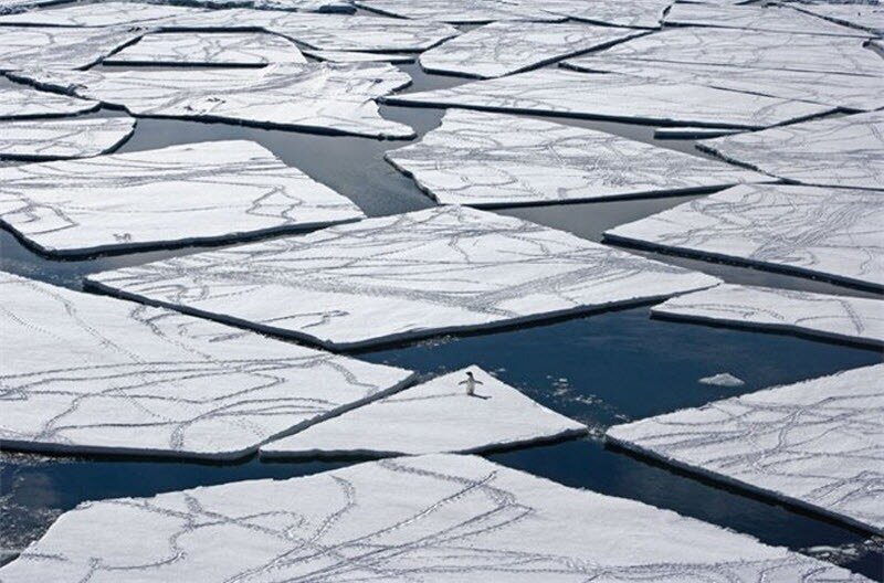 Путешествие от National Geographic 